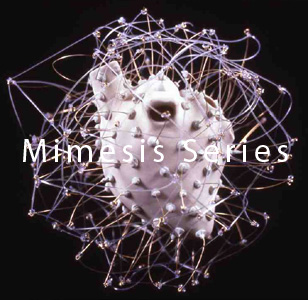 Mimesis Installation